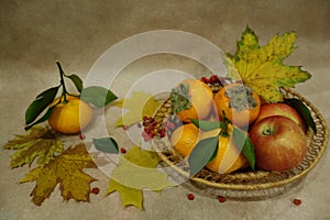 Autumn still life with fruit