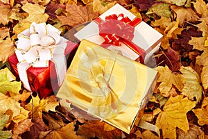 Autumn still life with group gift box.