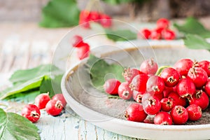 Autumn still life. Harvest of hawthorn berries with leaves