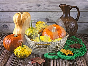 Autumn still life with a harvest of pumpkins in a basket, a clay jug and autumn leaves