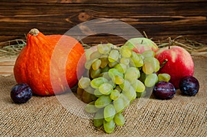 Autumn still life. Harvest of ripe apples, grapes, plums and pumpkin Hokkaido on sacking and wooden background