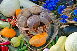 Autumn Still Life. Harvest of variety of vegetables