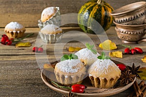 Autumn still life. Homemade cupcakes with powdered sugar with cinnamon sticks, anise stars, pumpkins, berries of rosehip and autum