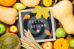 Autumn still life image with melon, apples, pears, rye, pumpkins, colorful foliage and letter board with words Hello Autumn