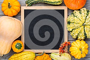 Autumn still life image with pumpkins, ashberry and blank letter board. Thanksgiving autumn concept background