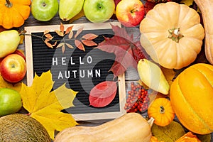 Autumn still life image with pumpkins, ashberry, pears, apples, colorful foliage and letter board with words Hello Autumn