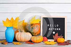 Autumn still life image with pumpkins, vase with colorful maple foliage and letter boards with words Hello Autumn against white