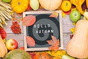 Autumn still life image with rye, pumpkins, apples, ashberry, melon, colorful foliage and letter board with words Hello Autumn