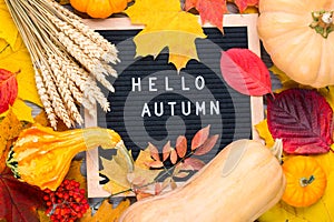 Autumn still life image with rye, pumpkins, colorful foliage and letter board with words Hello Autumn