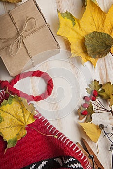 Autumn Still Life knitted cap gift leaves and dried berries