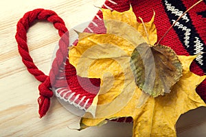 Autumn Still Life knitted cap gift leaves and dried berries