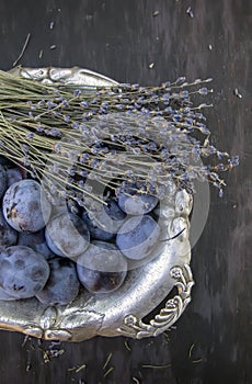 Autumn still life of lavender and rural plums