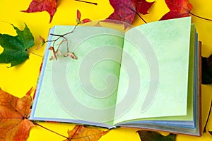 Autumn still life. Opened book and autumn colored maple leaves on a yellow background