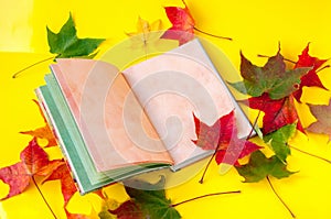 Autumn still life. Opened book and autumn colored maple leaves on a yellow background