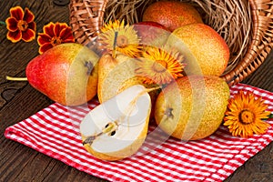 Autumn still life with pears and yellow flowers on rustic background
