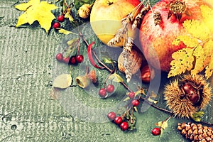 Autumn still life with pomegranate, apple and fall leaves. Fall