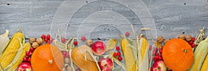 Autumn still life with pumpkin, apples, corn, nuts and leaves on vintage grey wooden table background,