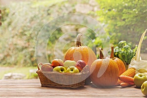 Autumn still life with pumpkin, apples, peach, corn, carrots, basil bush and wicker basket on a wooden table on natural