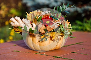 Autumn still life of pumpkin, flowers and yellow leaves