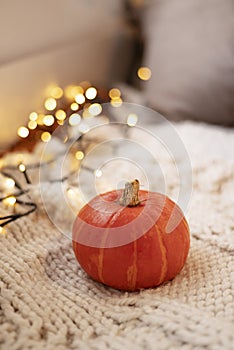 Autumn still life. Pumpkin on white knitted plaid with garland - halloween home decor, concept of fall season, Warm, hygge, cozy,