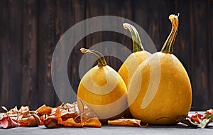 Autumn still life pumpkin with yellow leaves