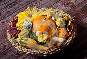 Autumn still-life with pumpkins