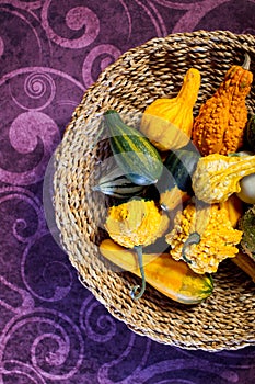 Autumn still-life with pumpkins