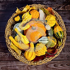 Autumn still-life with pumpkins