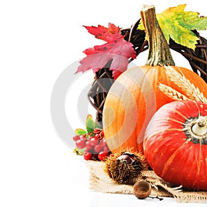 Autumn still-life with pumpkins