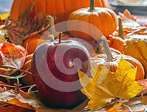 Autumn still life, pumpkins and apples