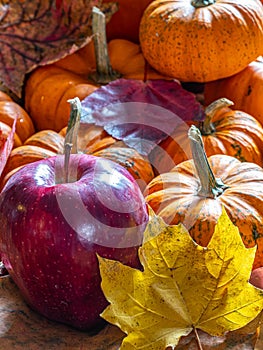 Autumn still life, pumpkins and apples