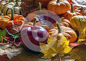 Autumn still life, pumpkins and apples