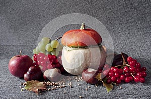 Autumn still life. Pumpkins, apples, chestnut fruits, coriander seeds, viburnum branches, grapes are located on a gray background.