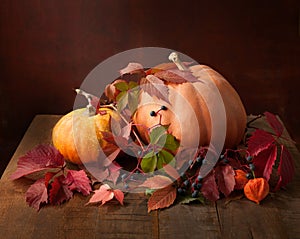 Autumn still life - pumpkins, autumn leaves and physalis