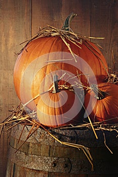 Autumn still life with pumpkins on barrel