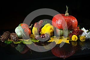 Autumn still life with pumpkins, chrysanthemums, fir cones and chestnuts, and yellow maple leaves on a dark background with mirror