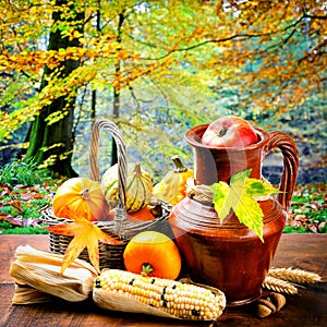 Autumn still-life with pumpkins and corn