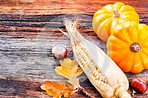 Autumn still-life with pumpkins and corn