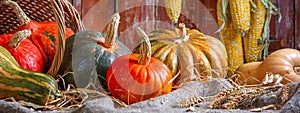 Autumn still life with pumpkins and corn in a rural house on the background of old wooden doors, banner.