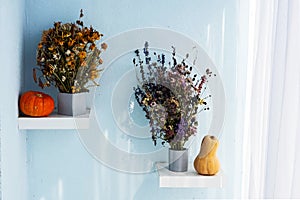 Autumn still life. Pumpkins and dried flowers bouquet in concrete vase. Modern fall concept in minimalism style