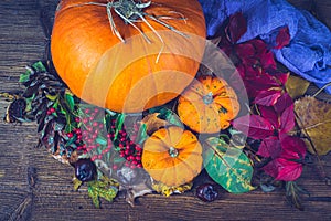 Autumn still life with pumpkins, dry leaves and berries.