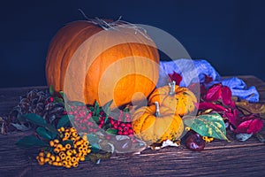 Autumn still life with pumpkins, dry leaves and berries.