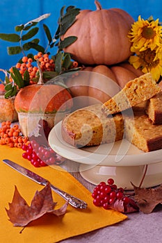 Autumn still life. Pumpkins for Halloween and Thanksgiving Day.