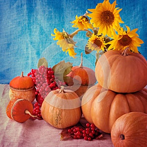 Autumn still life. Pumpkins for Halloween and Thanksgiving Day.