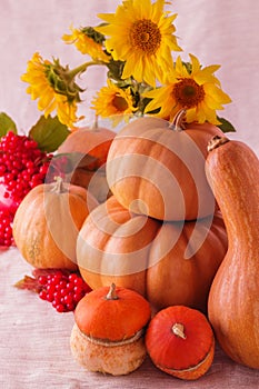 Autumn still life. Pumpkins for Halloween and Thanksgiving Day.