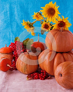 Autumn still life. Pumpkins for Halloween and Thanksgiving Day.