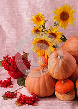 Autumn still life. Pumpkins for Halloween and Thanksgiving Day.