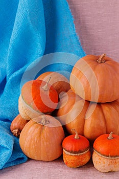 Autumn still life. Pumpkins for Halloween and Thanksgiving Day.