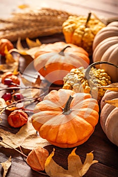 Autumn still life with pumpkins and leaves on wooden background. Thanksgiving home decoration