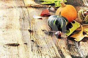 Autumn still-life with pumpkins and oak leaves